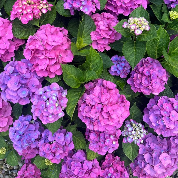 ✨Meet your Posher✨ - Picture 2 of 14